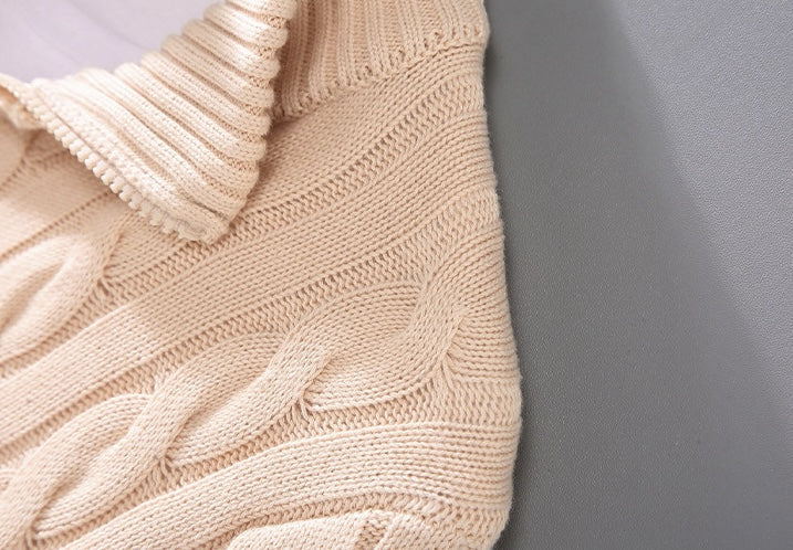 Anthony | Thick Turtleneck Sweater